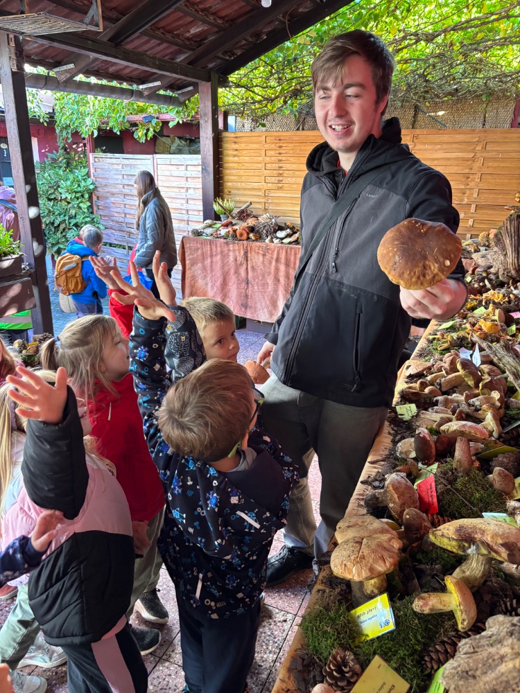 stránka prezentace